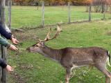 img_6678.jpeg